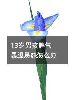 13岁男孩脾气暴躁易怒怎么办?