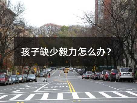 孩子缺少毅力如何解决？