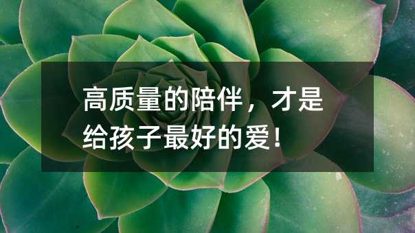 高质量的陪伴,才是给孩子最好的爱!