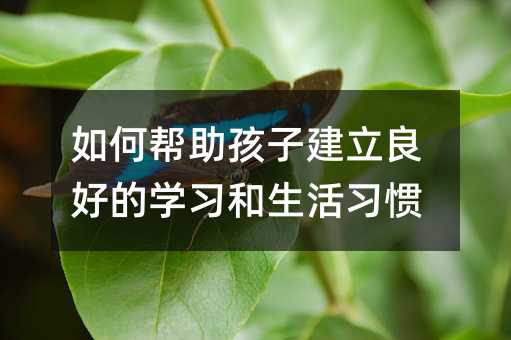 如何帮助孩子建立良好的学习和生活习惯