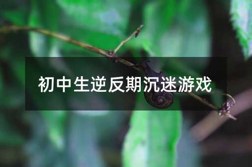 初中生逆反期沉迷游戏