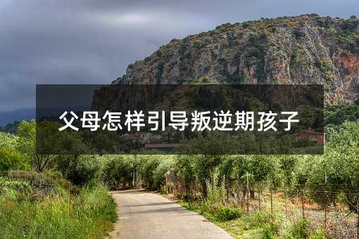 父母怎样引导叛逆期孩子