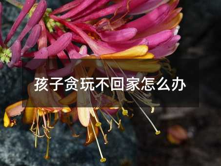 ̰治ؼô