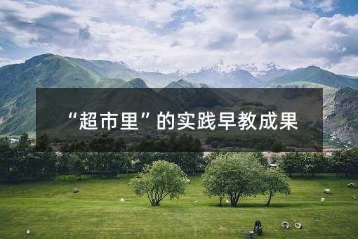 “超市里”的实践早教成就