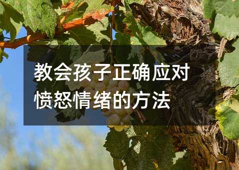 教会孩子正确应对愤怒情绪的方法