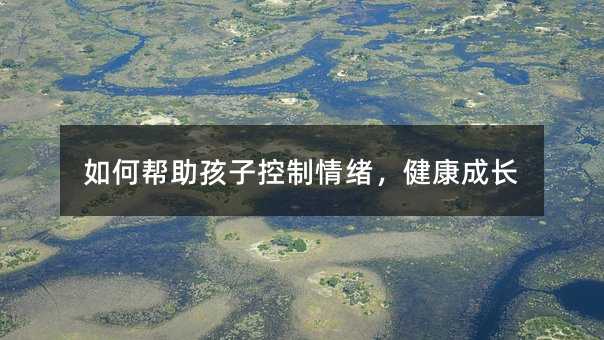 怎么样帮助孩子控制情绪，健康成长