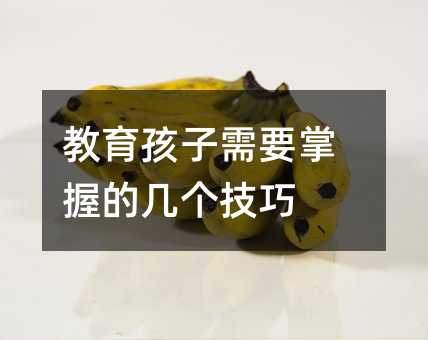 教育孩子需要掌握的几个技巧
