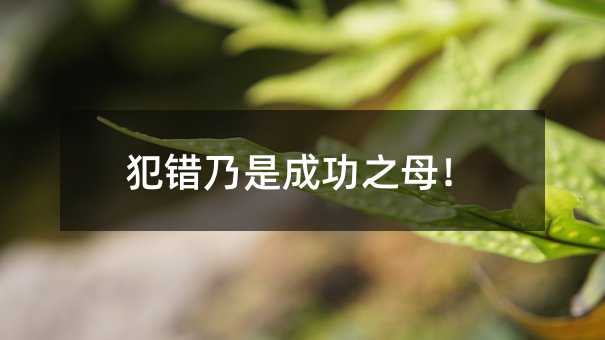 犯了错误乃是成功之母！