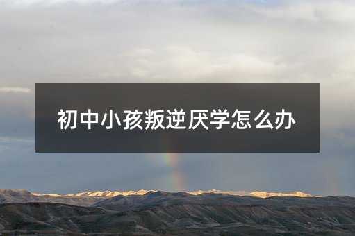 初中小孩叛逆厌学怎么办