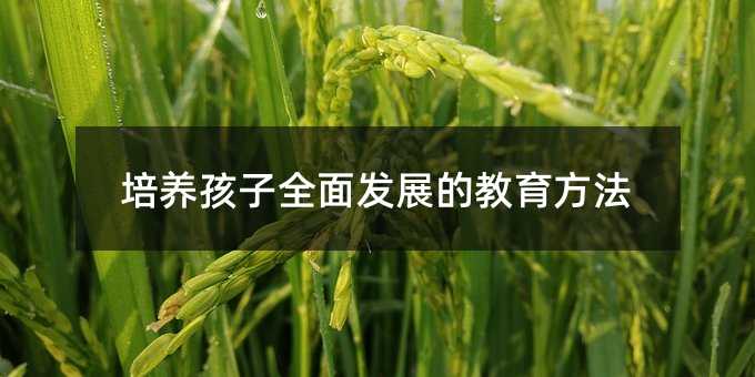 ȫ淢չĽ