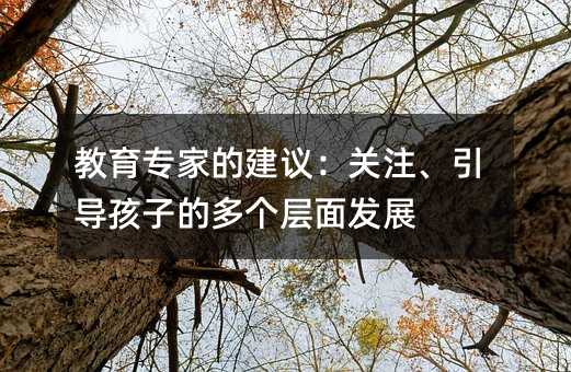 教育专家的建议:关注、引导孩子的多个层面发展