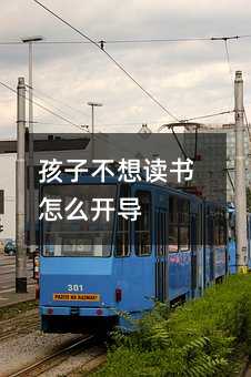 孩子不想读书怎么开导