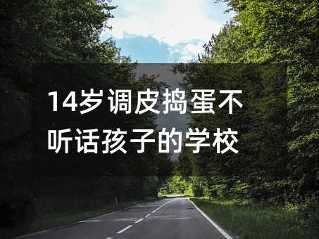 14岁调皮捣蛋不听话孩子的学校