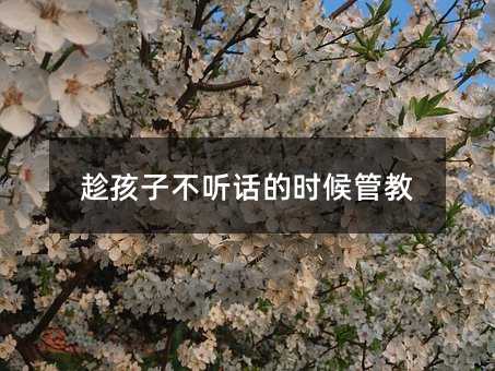 趁孩子不听话的时候管教