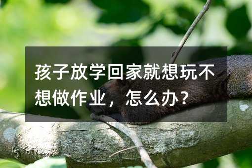 孩子放学回家就想玩不想做作业,怎么办?