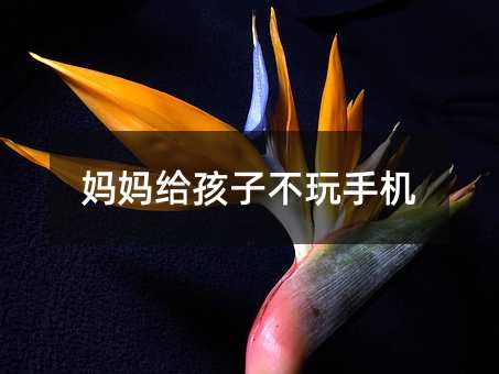 妈妈给孩子不玩手机