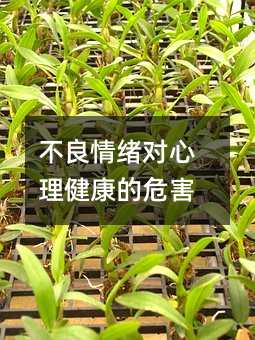 不良情绪对心理健康的危害