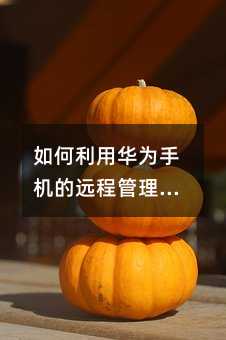 怎么样借助华为手机的远程管理功能保护孩子的手机安全