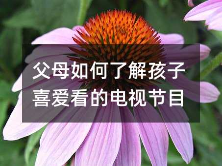 父母如何了解孩子喜爱看的电视节目
