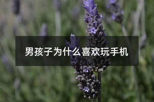 男孩子为什么喜欢玩手机