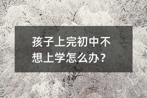 孩子上完初中不想上学怎么办?