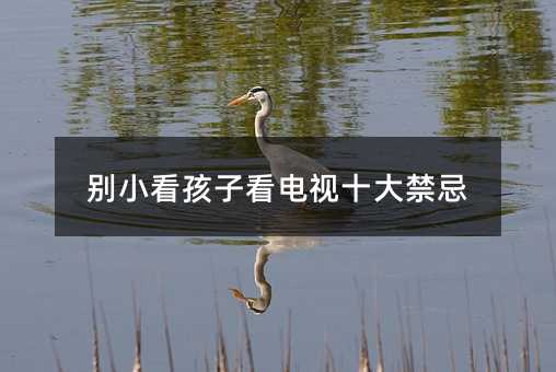 别小看孩子看电视十大忌讳