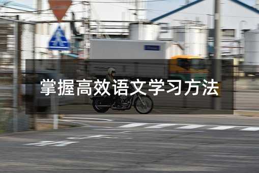掌握高效语文学习方法