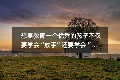 想要教育一个优秀的孩子不仅要学会“放手”还要学会“狠”