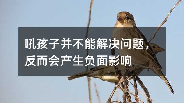 吼孩子并不能解决问题,反而会产生负面影响