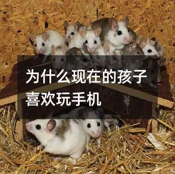 为什么现在的孩子喜欢玩手机