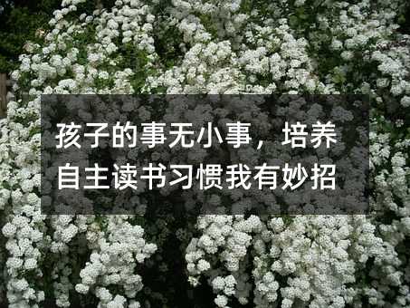 孩子的事无小事,培养自主读书习惯我有妙招