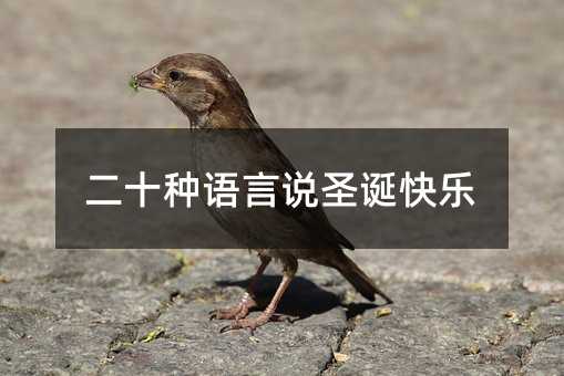 二十种语言说圣诞快乐
