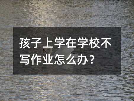 孩子上学在学校不写作业如何解决？