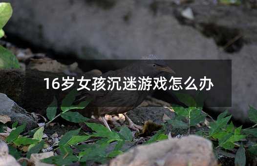 16岁女孩沉迷游戏怎么办