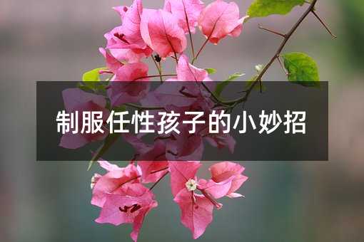 制服任性孩子的小妙招