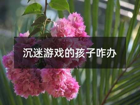 沉迷游戏的孩子咋办