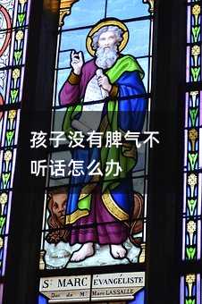 孩子没有脾气不听话怎么办