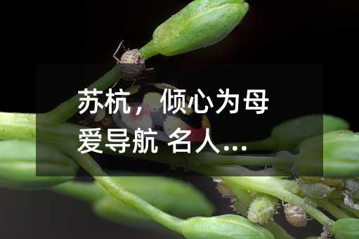 պΪĸ ˼ҽ