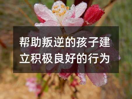 帮助叛逆的孩子建立积极良好的行为