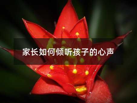 家长如何倾听孩子的心声
