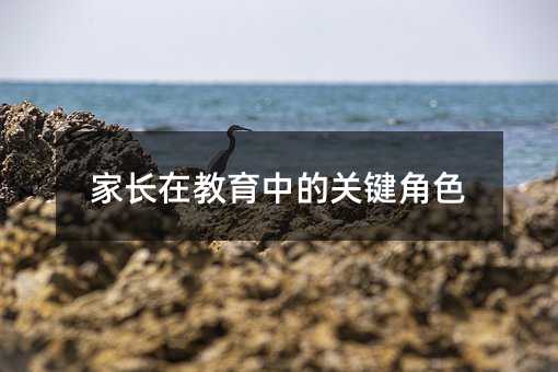 家长在教育中的关键角色