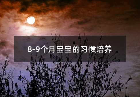8-9个月宝宝的习惯培养
