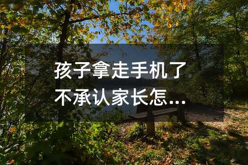 孩子拿走手机了否认父母如何解决