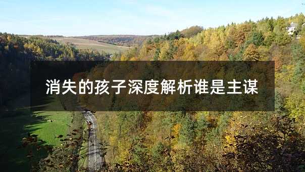 消失的孩子深度解析谁是主谋