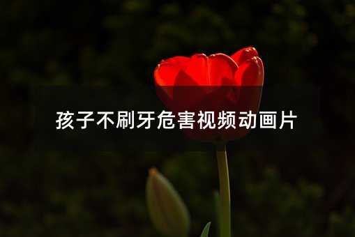 孩子不刷牙危害视频动画片