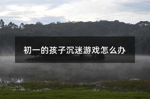 初一的孩子沉迷游戏怎么办