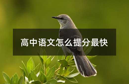 高中语文怎么提分最快