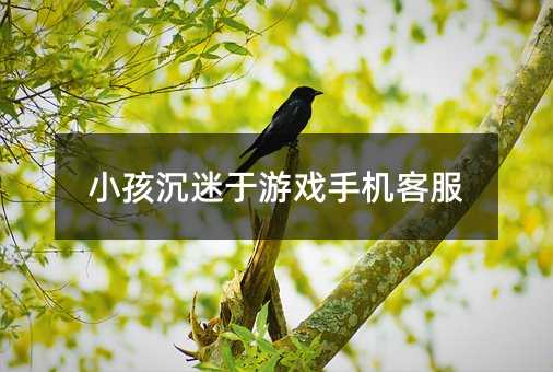 小孩沉迷于游戏手机客服
