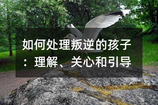 如何处理叛逆的孩子:理解、关心和引导