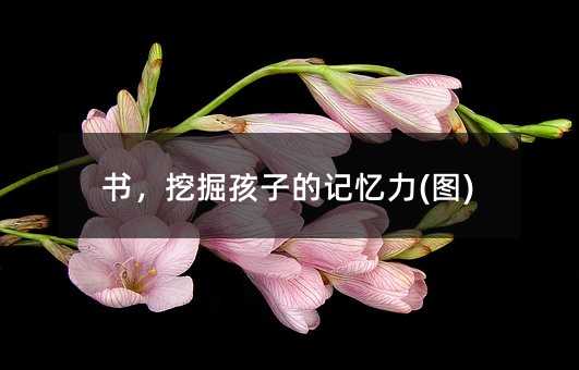 书,挖掘孩子的记忆力(图)